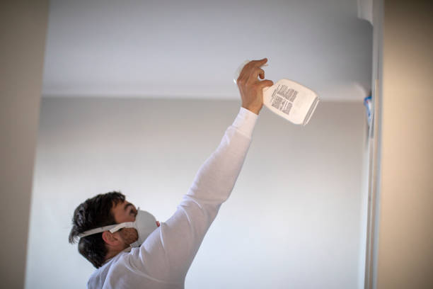 Reliable Clover Creek, WA Mold Remediation Solutions