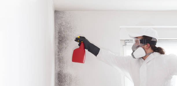 Best Bathroom Mold Remediation in Clover Creek, WA