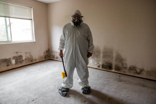 Best Emergency Mold Remediation in Clover Creek, WA